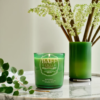 Eucalyptus Mint Luxury Candle made with Premium Soy Wax, handmade, pure essential oil