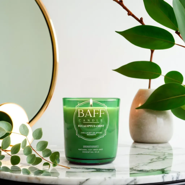 Eucalyptus Mint Soy Wax Luxury Candle (One Wick) - Baff Candle