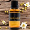 Ylang Ylang Essential Oil I 100% Pure I Aromatherapy Grade 30ml